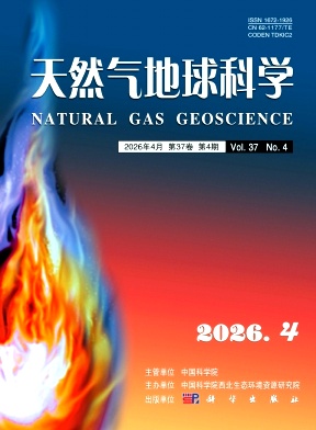 天然气地球科学封面